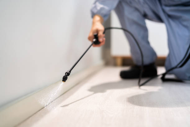 Licensed Pest Control service in University Park, MD - Show Me Pest Control