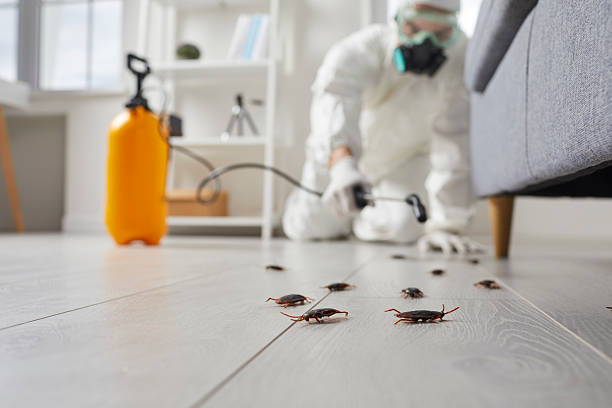 Post-Treatment Bed Bug Interceptor Monitoring in University Park