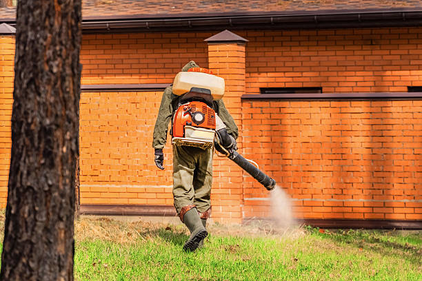 Bed Bug Clearance Verification and Documentation in University Park